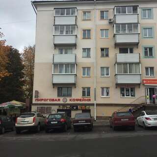 Апартаменты City Centre Apartment on Krylenko 7 Могилев Апартаменты-17